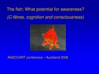 The fish: What potential for awareness? (C-fibres, cognition and consciousness)