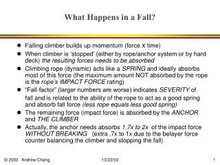 What Happens in a Fall?