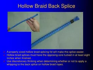 Hollow Braid Back Splice