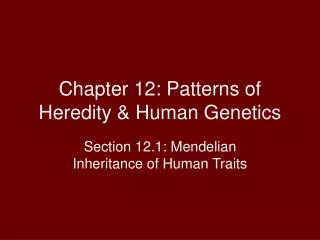 Chapter 12: Patterns of Heredity &amp; Human Genetics