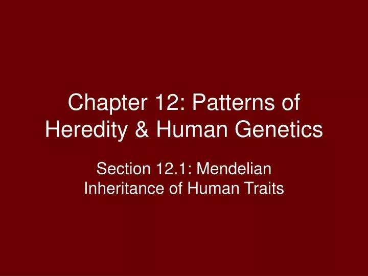 chapter 12 patterns of heredity human genetics