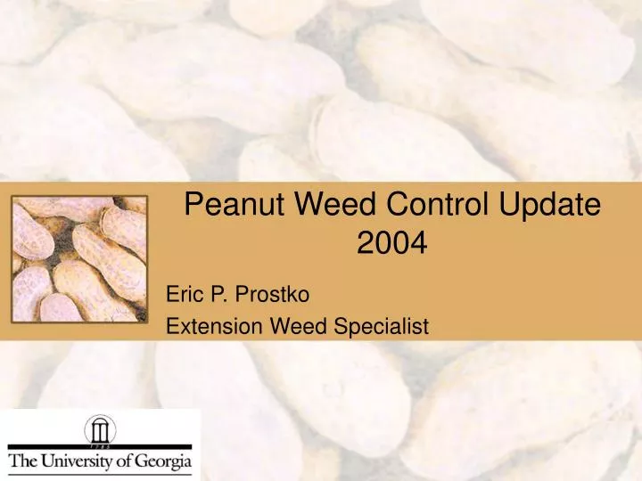 peanut weed control update 2004