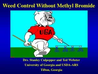 Weed Control Without Methyl Bromide