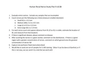 Human Renal Nerve Study Plan 9.10.08