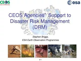 CEOS Agencies ’ Support to Disaster Risk Management (DRM)