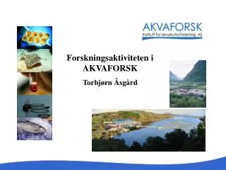 Forskningsaktiviteten i AKVAFORSK Torbjørn Åsgård