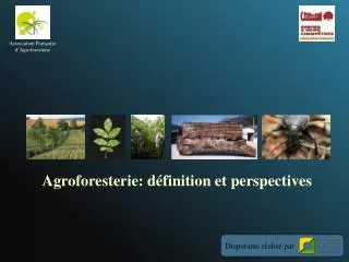 Agroforesterie: définition et perspectives