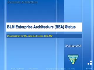 BLM Enterprise Architecture (BEA) Status