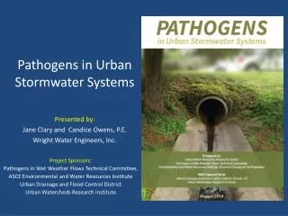 Pathogens in Urban Stormwater Systems