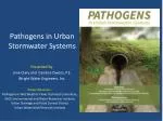 Pathogens in Urban Stormwater Systems - slide 1