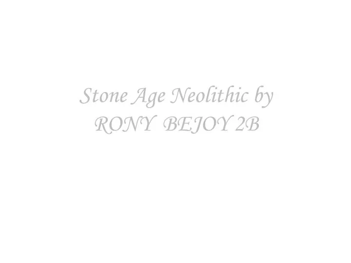 stone age neolithic by rony bejoy 2b