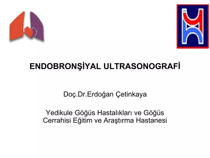 endobron yal ultrasonograf