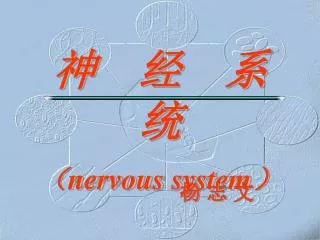 神 经 系 统 （ nervous system ）