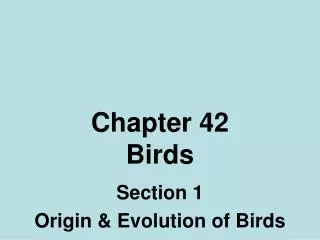 Chapter 42 Birds