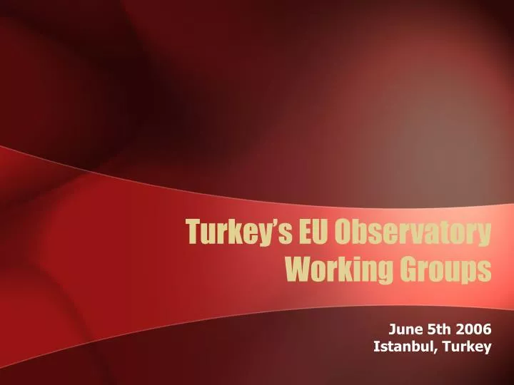 turkey s eu observatory working groups