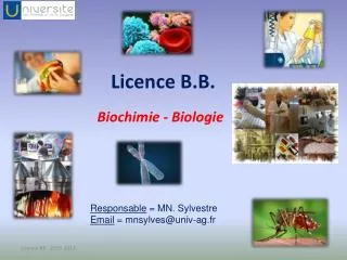 Licence B.B.