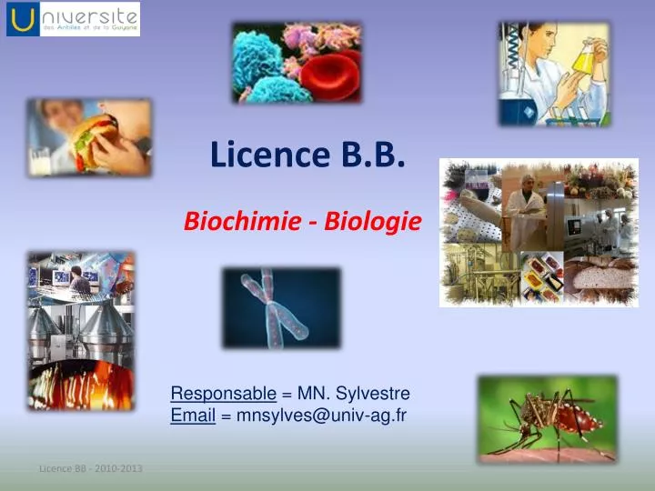 licence b b