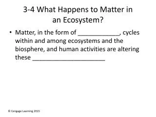3-4 What Happens to Matter in an Ecosystem?