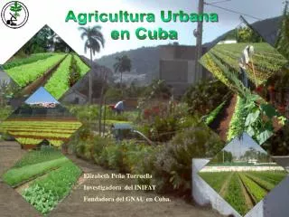 Agricultura Urbana en Cuba