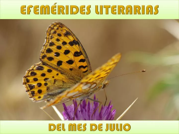 efem rides literarias