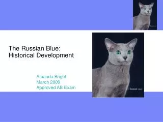 The Russian Blue: Historical Development