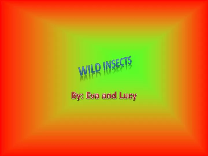 wild insects
