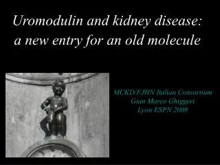 Uromodulin and kidney disease: a new entry for an old molecule