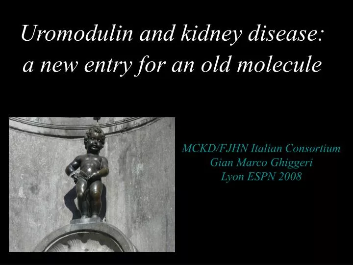 uromodulin and kidney disease a new entry for an old molecule