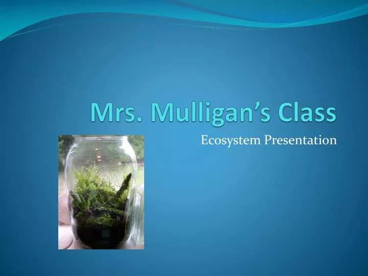 mrs mulligan s class
