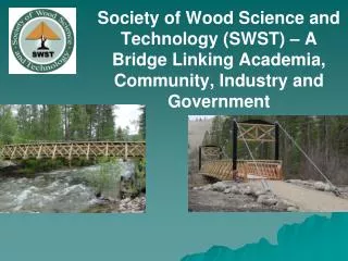 OUR VISION : To be the world leader in advancing the profession of wood science.