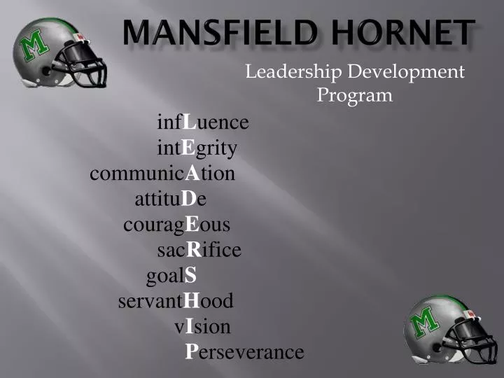 mansfield hornet