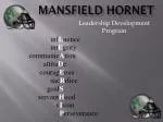 Mansfield Hornet - slide 1