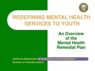 An Overview of the Mental Health Remedial Plan