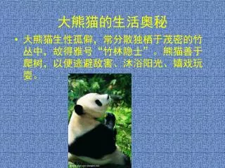 大熊猫的生活奥秘