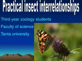 Practical insect interrelationships
