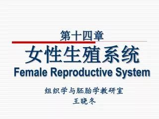 第十四章 女性生殖系统 Female Reproductive System