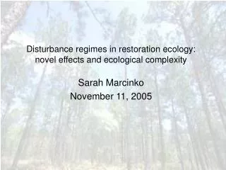 Disturbance regimes in restoration ecology: novel effects and ecological complexity