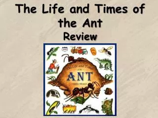 The Life and Times of the Ant Review