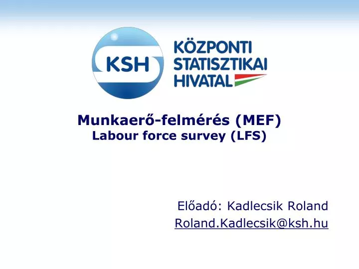 munkaer felm r s mef labour force survey lfs