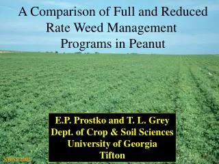 A Comparison of Full and Reduced Rate Weed Management Programs in Peanut