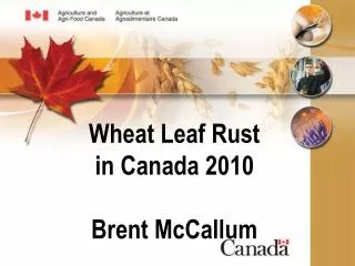 Wheat Leaf Rust in Canada 2010 Brent McCallum