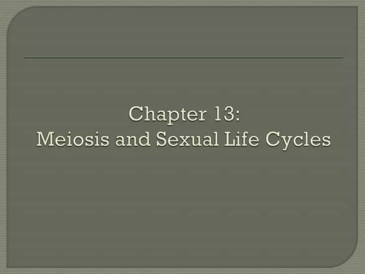 chapter 13 meiosis and sexual life cycles