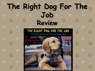 The Right Dog For The Job Review