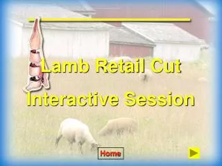 Lamb Retail Cut Interactive Session