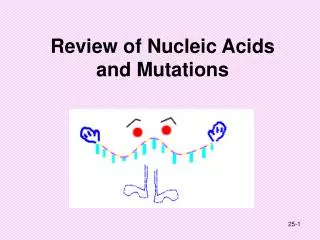 Review of Nucleic Acids and Mutations