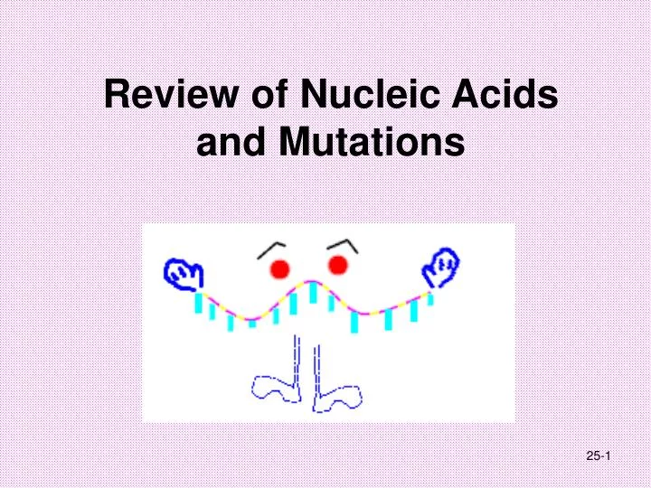 review of nucleic acids and mutations