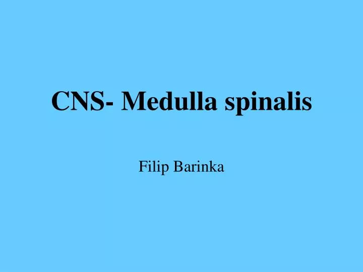 cns medulla spinalis