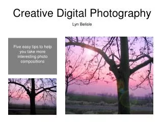Creative Digital Photography Lyn Belisle