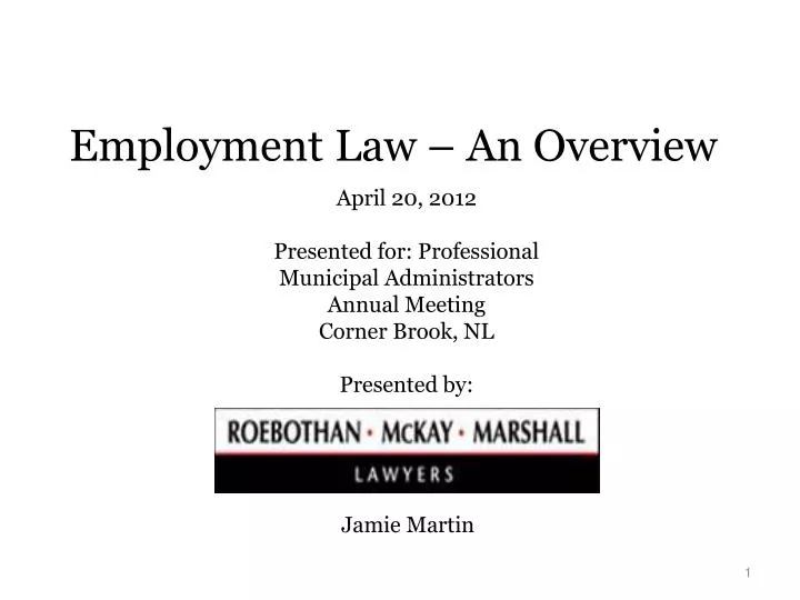 employment law an overview