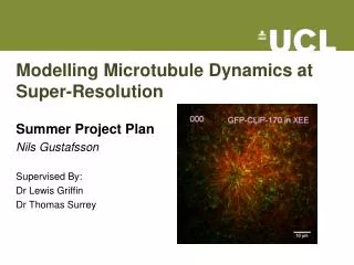 Modelling Microtubule Dynamics at Super-Resolution